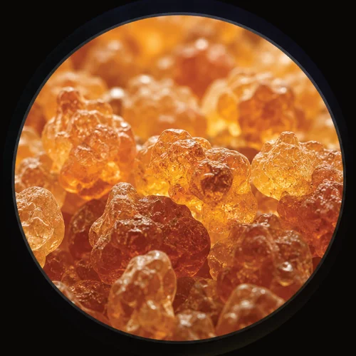 image-gum-arabic2