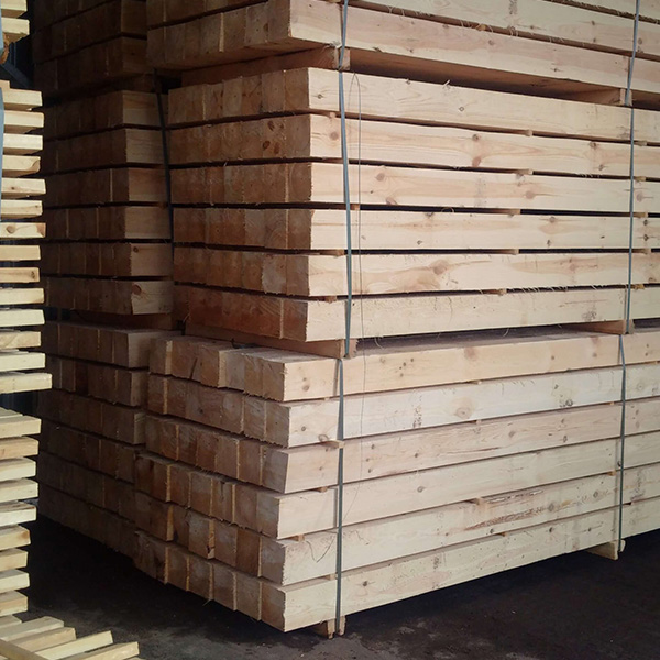 redwood01